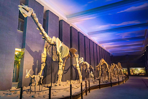 image043.jpg image043.jpg